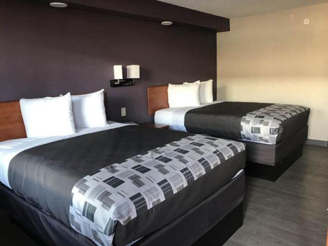 Executive Inn Кингсвилл Экстерьер фото